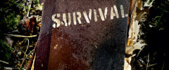 Surviving Philippines