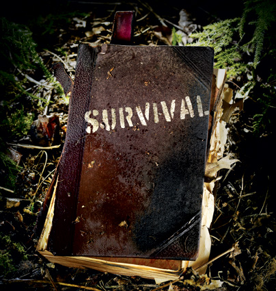 Surviving Philippines Surviving Philippines
